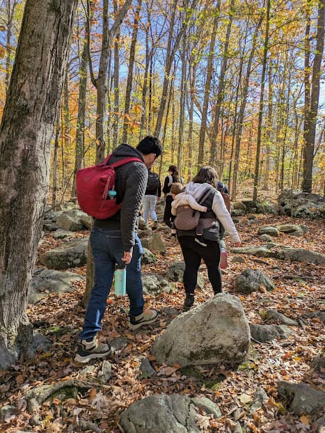 A group of babywearing families walking a rocky wooded trail.