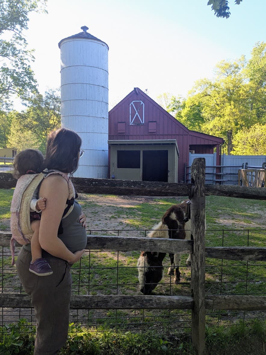 Waverly wearing a toddler on her back while holding her baby bump in front, looking at a donkey in front of a red barn.